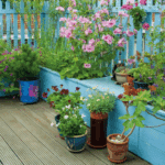 container gardening (2)