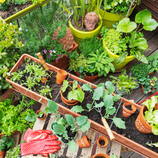 container gardening (3)