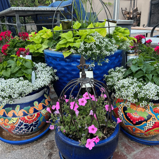 container gardening (4)