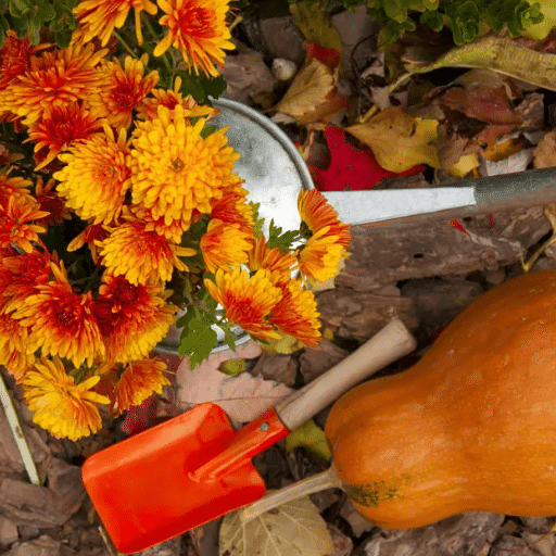 fall gardening (2)