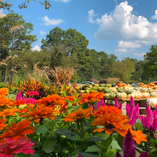 fall gardening