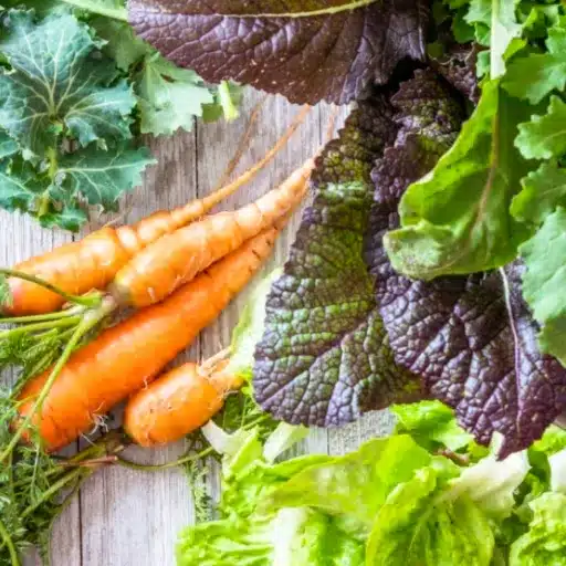 Fastest Growing Vegetables: Garden to Harvest Quickly fast growing vegetables (1)