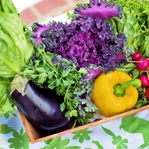 Fastest Growing Vegetables: Garden to Harvest Quickly fast growing vegetables (4)