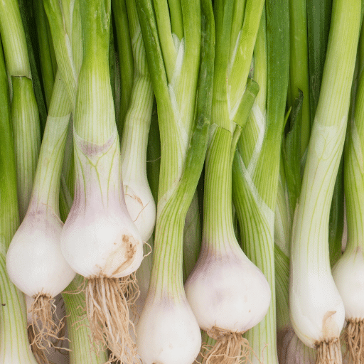 green onions (1)