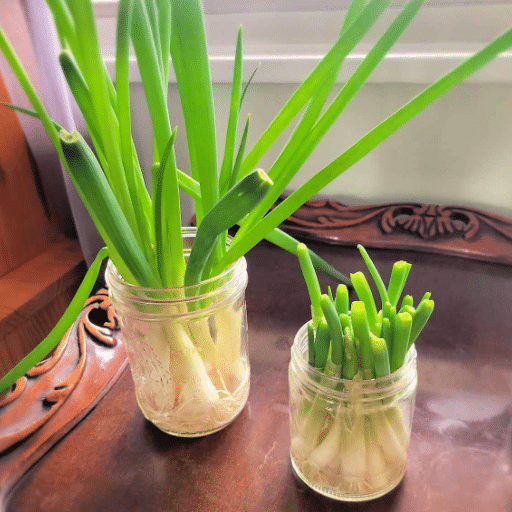 green onions (4)