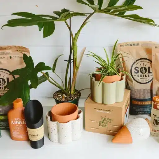 The Ultimate Guide to Houseplant Care: Tips for Indoor Plant Success Master houseplant care! Discover essential tips for indoor plant success. Grow healthy, thriving indoor plants with our ultimate guide.
