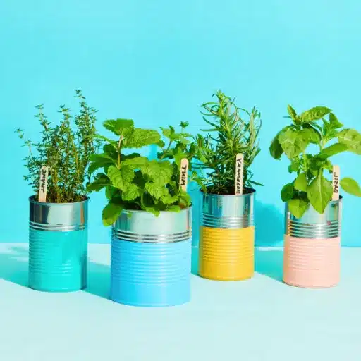 Grow Your Own: Indoor Herb Garden & Herbs Indoors indoor herbs (1)