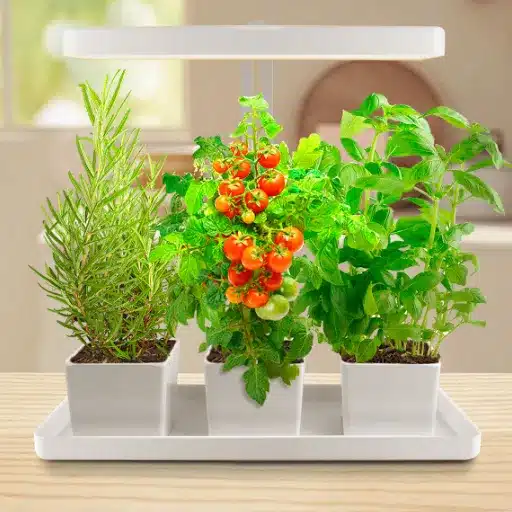 Grow Your Own: Indoor Herb Garden & Herbs Indoors indoor herbs
