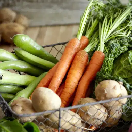 Best Indoor Vegetables to Grow: Your Indoor Garden Guide indoor vegetables (4)