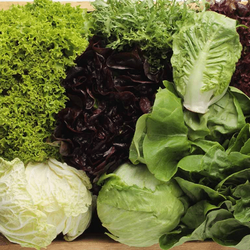 lettuce varieties (2)