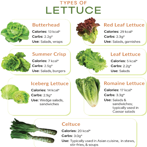 lettuce varieties