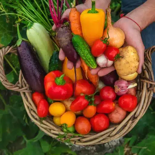 Grow Vegetables: Plan Your Garden for Year-Round Harvests year round harvests