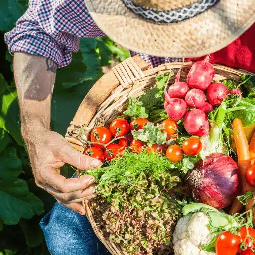 Grow Vegetables: Plan Your Garden for Year-Round Harvests year round harvests (3)