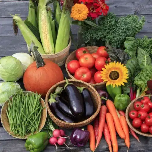 Grow Vegetables: Plan Your Garden for Year-Round Harvests year round harvests (4)