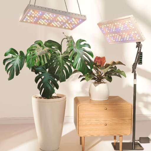 Understanding Grow Lights