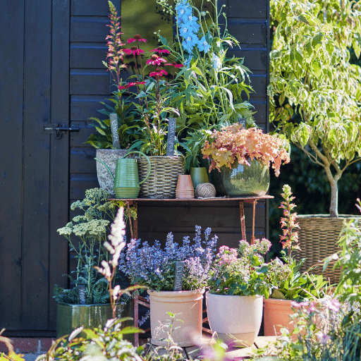 Pest Management in Container Gardens