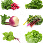 Conclusion and Tips for Successful Fast Harvests