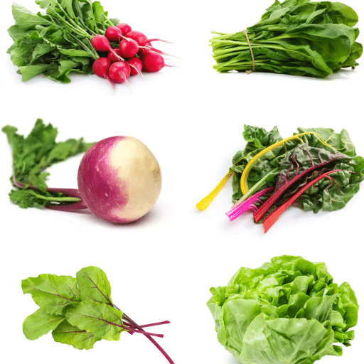 Conclusion and Tips for Successful Fast Harvests