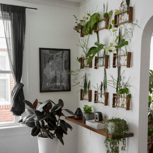 Caring for Your Indoor Garden