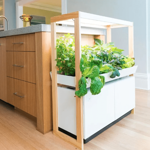 Starting Your Indoor Garden