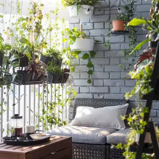 indoor gardening (4)