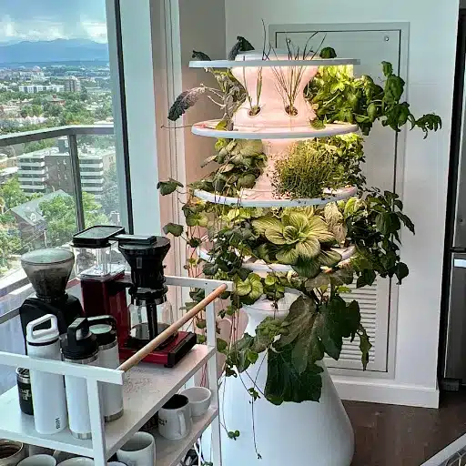 indoor gardening