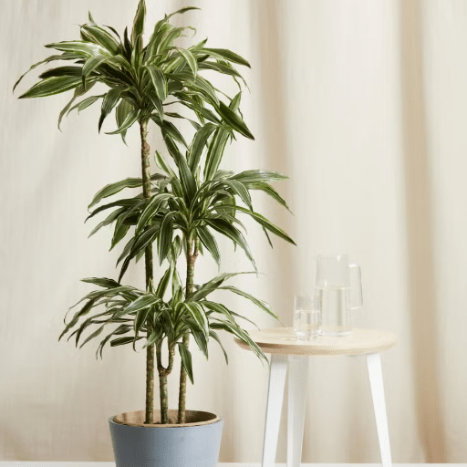 Understanding Low Light Conditions