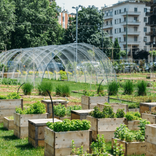 urban gardening