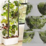 Introduction to Indoor Gardening