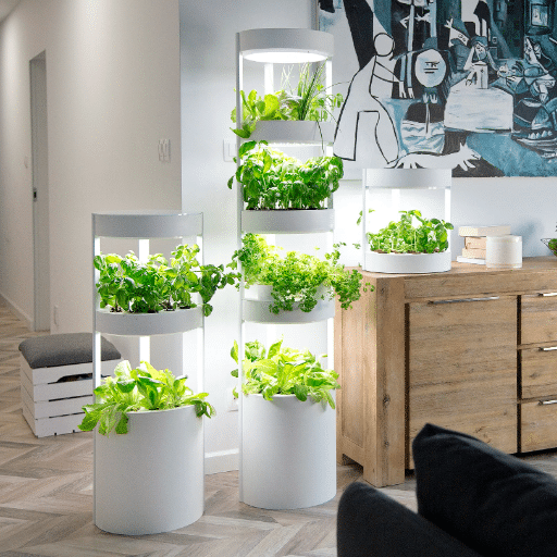Selecting Plants for Your Indoor Garden