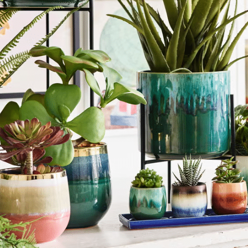 Types of Pots for Indoor Plants