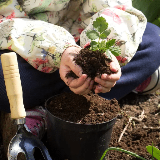Amendments and Nutrients