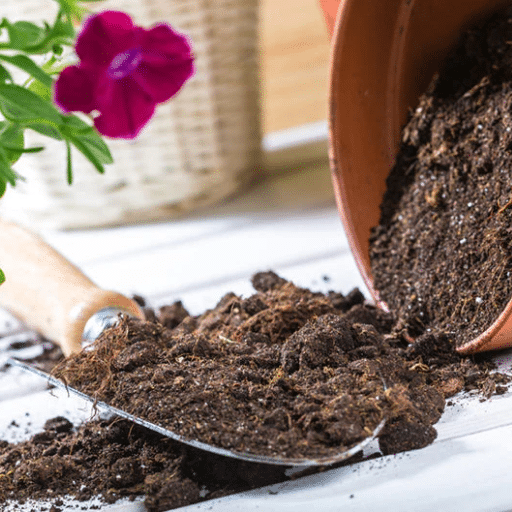 Testing and Preparing Potting Soil