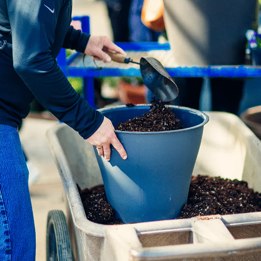 Best Practices for Using Potting Soil