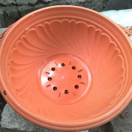 Understanding Drainage in Container Gardening