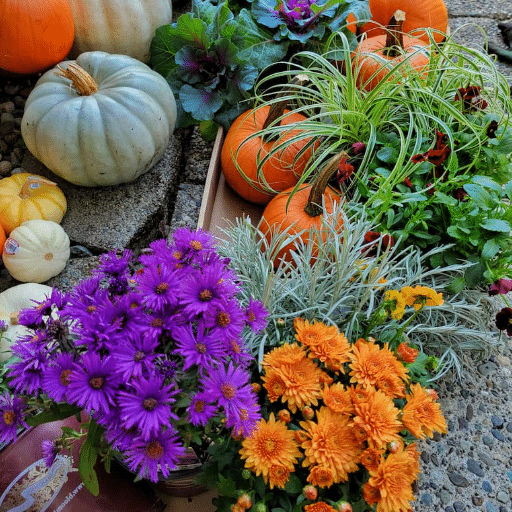 Introduction to Fall Container Gardening