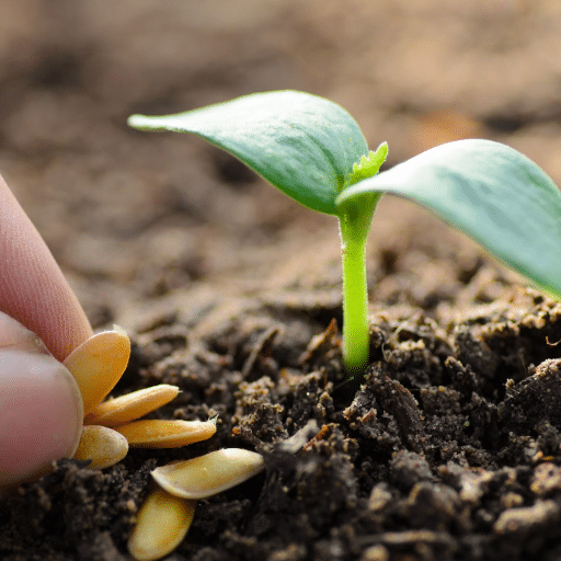 Introduction to Fast-Growing Seeds