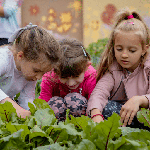 Conclusion: Building Lifelong Skills Through Gardening
