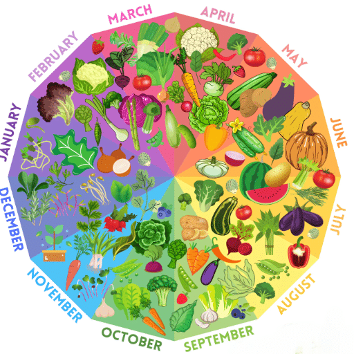 Preparing to Start Seeds Indoors