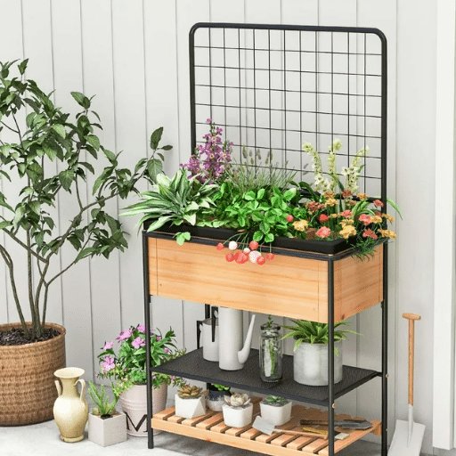 Setting Up Your Indoor Raised Garden