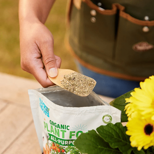 Plant Food for Different Plant Types