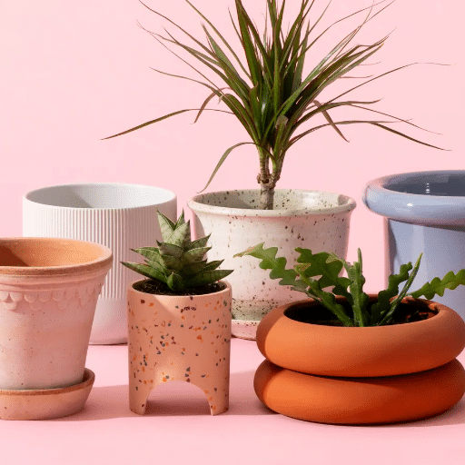 Types of Indoor Planters