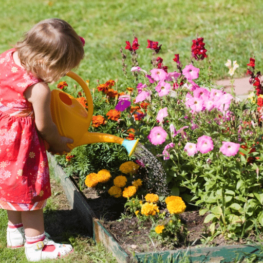 Fun Ways to Learn About Plants