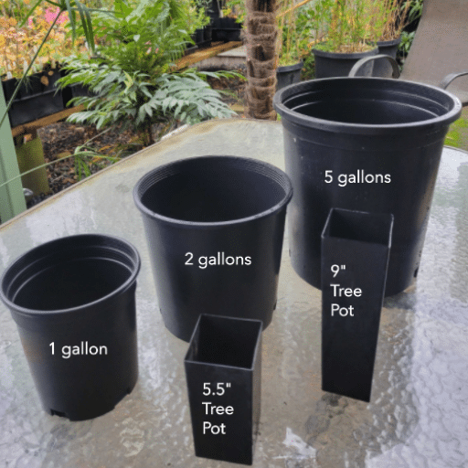 Choosing the Right Pot for Vegetables