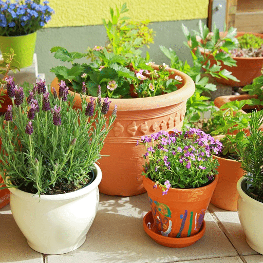 Understanding Pot Size