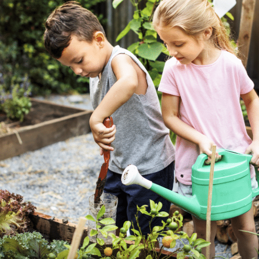 Plant Placement and Safety Tips