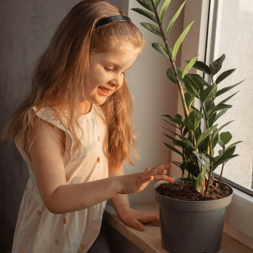 Fun and Educational Activities with Plants