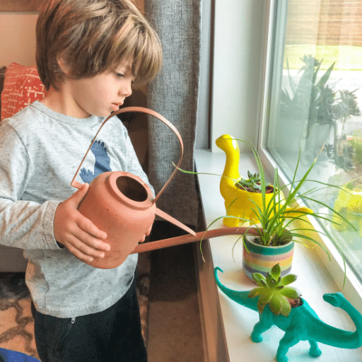 Introduction: Why Safe Plants Matter