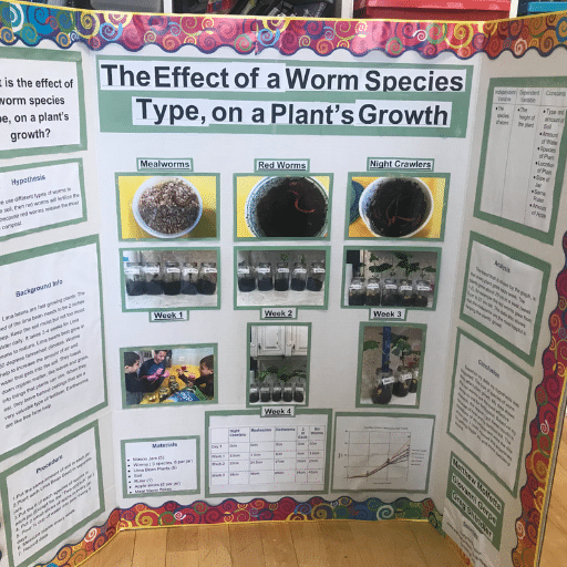 Innovative Ways to Explore Plant Science