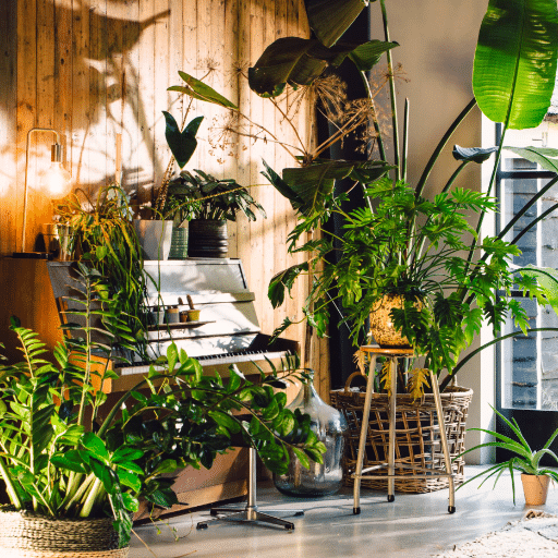 Essential Supplies for Indoor Seed Starting